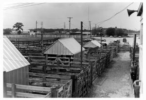 Primary view of object titled 'Houston Stockyards in 1968'.