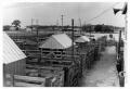 Primary view of Houston Stockyards in 1968