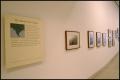 Thumbnail image of item number 2 in: 'India Along the Ganges: Photographs by Raghubir Singh [Exhibition Photographs]'.