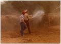 Photograph: Two Cowboys Spraying Cattle