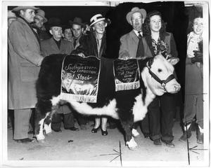 Grand Champion Hereford Steer, Fort Worth 1947