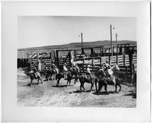 Horse Wranglers and Corrals