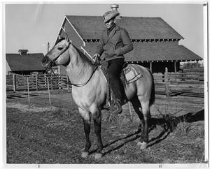 Cowboy on Horseback