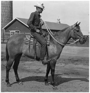Primary view of object titled 'Cowboy on Horseback'.