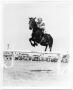 Photograph: Rider and Jumping Horse