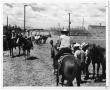 Photograph: Cowboys and Horses