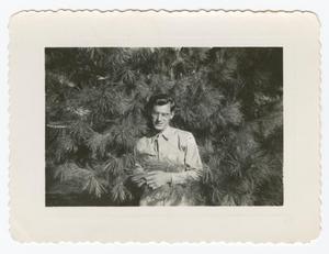 [William Giannopoulos Standing Against an Evergreen Tree]