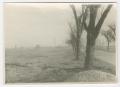 Thumbnail image of item number 1 in: '[Field at Herrlisheim, France]'.