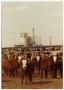Primary view of [Cattle grounds next to grain elevators]