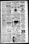 Thumbnail image of item number 3 in: 'Daily Express. (San Antonio, Tex.), Vol. 8, No. 21, Ed. 1 Tuesday, January 27, 1874'.