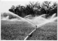Photograph: [Flat Top Ranch Irrigation]