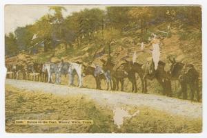 [Postcard of Burros on the Trail]