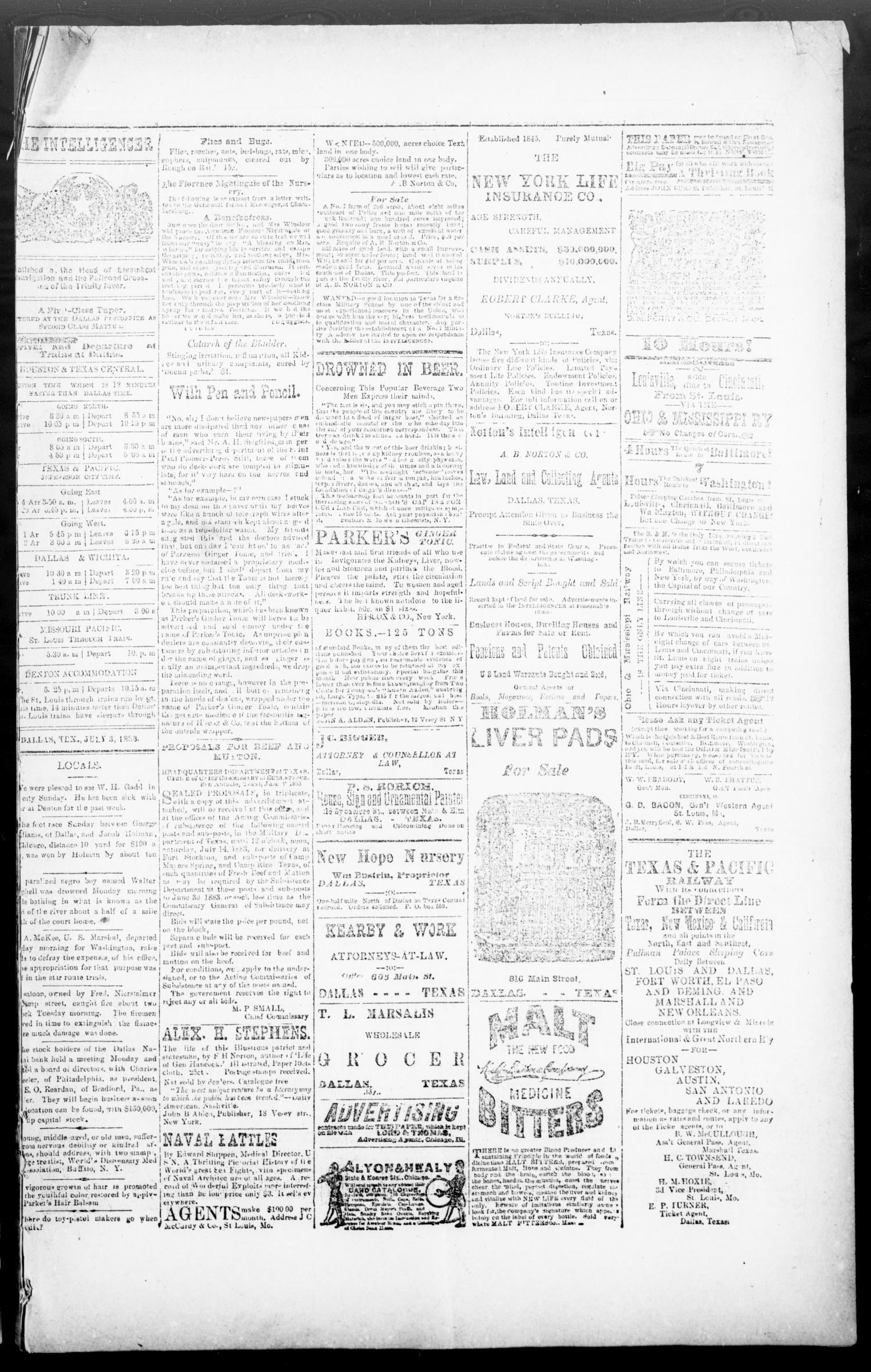 Norton's Daily Union Intelligencer. (Dallas, Tex.), Vol. 8, No. 54, Ed. 1 Tuesday, July 3, 1883
                                                
                                                    [Sequence #]: 3 of 4
                                                