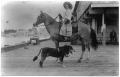 Primary view of Woman on Her Horse with a Dog