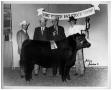 Photograph: Champion Angus Heifer - Fort Worth Fat Stock Show, Jr. Show