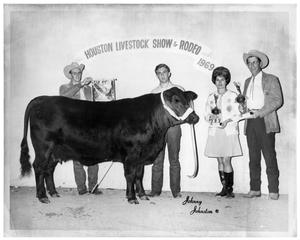Primary view of object titled 'Award-Winning Brangus Steer'.