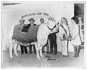 Primary view of object titled '1969 Houston Livestock Show Champion Charolais Heifer'.