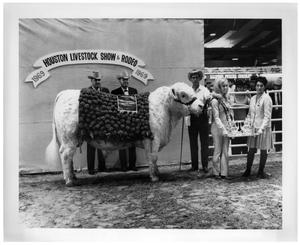 Primary view of object titled '1969 Houston Livestock Show Champion Charolais Bull'.