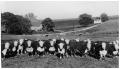 Thumbnail image of item number 1 in: 'Hereford Cattle'.