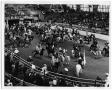 Photograph: Cowboys and Cowgirls in an Arena