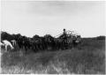 Photograph: Horse-Drawn Wagon Commuting in a Field