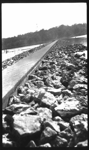 Primary view of object titled 'Caddo Lake - Mooringsport, La.'.