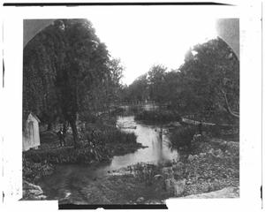 [View of San Pedro Springs and Park]