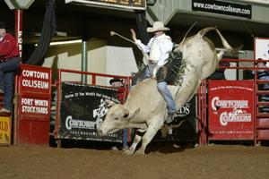 [Bull Riding at Cowtown Coliseum]