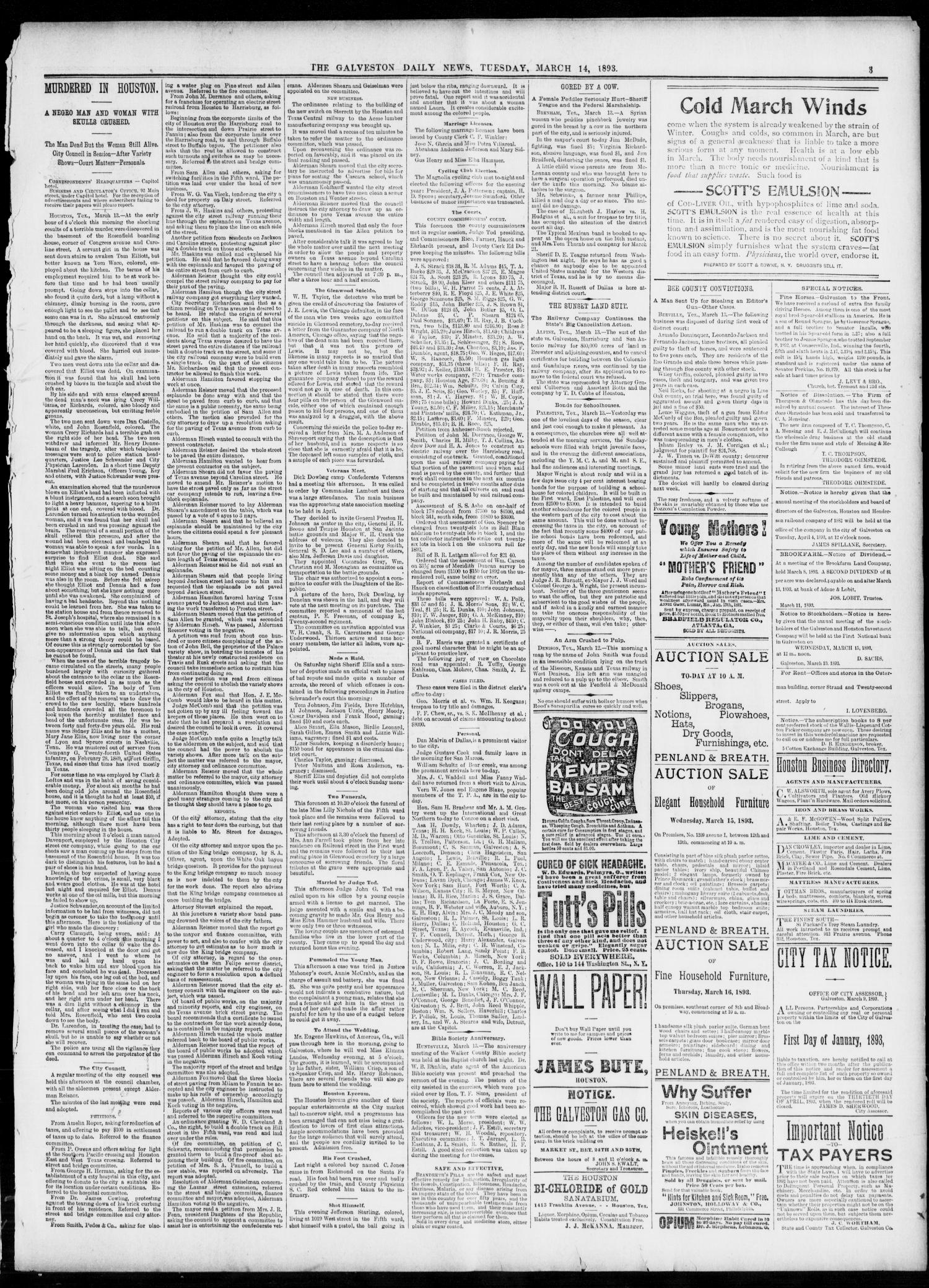 The Galveston Daily News. (Galveston, Tex.), Vol. 51, No. 355, Ed. 1 Tuesday, March 14, 1893
                                                
                                                    [Sequence #]: 3 of 8
                                                
