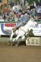 Primary view of [Cowgirl Barrel Racing at Cowtown Coliseum]