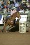 Thumbnail image of item number 1 in: '[Woman Barrel Racing at Cowtown Coliseum]'.