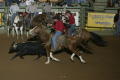 Thumbnail image of item number 1 in: '[Calf-Roping in Groups at Cowtown Coliseum]'.