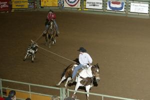 [Event at the Cowtown Coliseum, roping a calf]