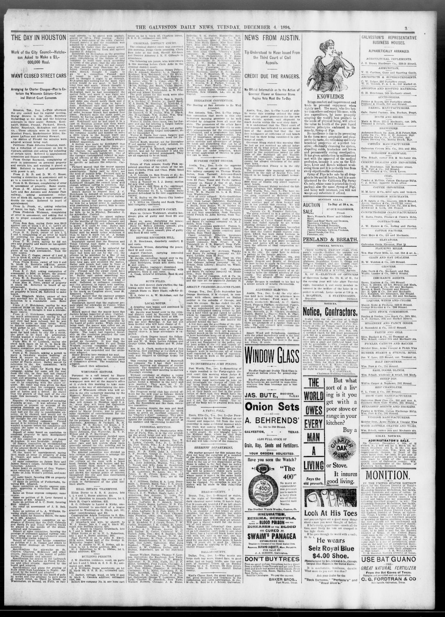 The Galveston Daily News. (Galveston, Tex.), Vol. 53, No. 256, Ed. 1 Tuesday, December 4, 1894
                                                
                                                    [Sequence #]: 3 of 10
                                                