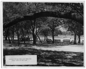 [Camp scene with trees and benches]