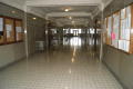 Primary view of [Photograph of a Hallway in a Courthouse]