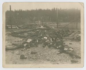 Primary view of object titled '[Pile of Bodies in Internment Camp]'.
