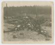 Thumbnail image of item number 1 in: '[Pile of Bodies in Internment Camp]'.