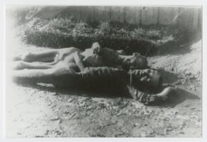Primary view of object titled '[Two Holocaust Victims]'.