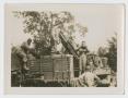 Thumbnail image of item number 1 in: '[Soldiers Climbing on Truck]'.