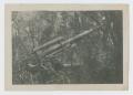 Photograph: [Soldier by Large Gun]