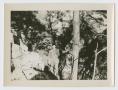 Photograph: [Soldier in Camouflage]
