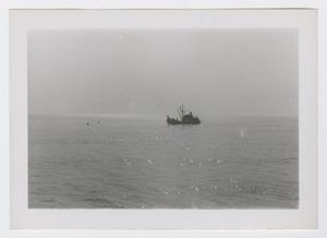 Primary view of object titled '[Photograph of Ship]'.