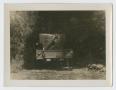 Photograph: [Dodge Weapons Carrier]