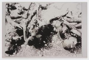 Primary view of object titled '[Bodies at Landsberg Camp]'.