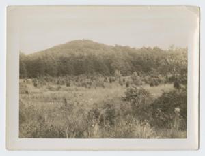 Primary view of object titled '[Brush-Covered Hill]'.