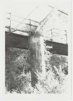 [Medio Creek Bridge Photograph #23]
