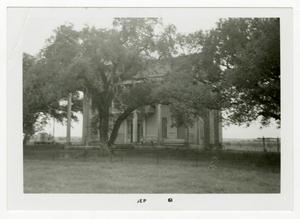 Primary view of object titled '[Wiley-Hill House Photograph #1]'.