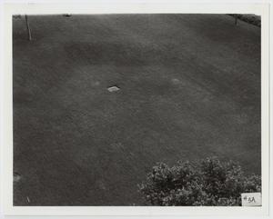 [Photograph of a Grassy Field]