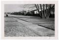 Primary view of [Photograph of Sidewalks on Marquette Street]